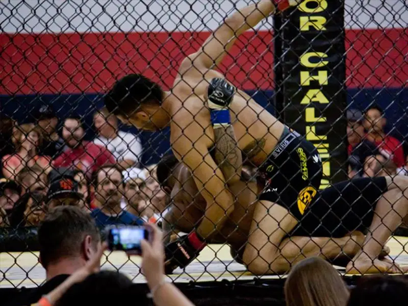 Teen/Adult MMA Classes